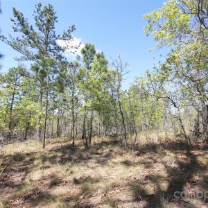 Photo #17 of TBD Queens Cove, Carthage, NC