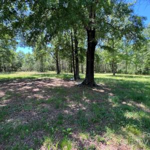 Photo #13 of 5655 Shirley, Fort Lawn, SC