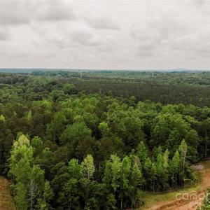 Photo #12 of Lot 36 Snow Goose Walk, Clover, SC