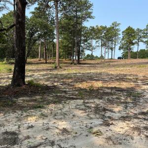 Photo #3 of Ruby, Hartsville, SC