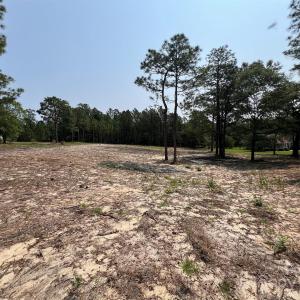 Photo #10 of Ruby, Hartsville, SC