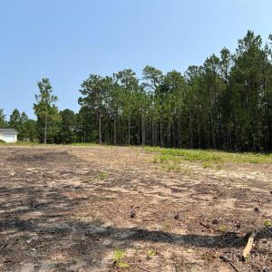 Photo #16 of Ruby, Hartsville, SC