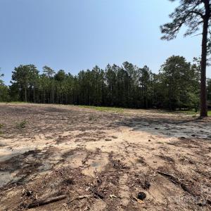 Photo #12 of Ruby, Hartsville, SC