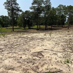 Photo #7 of Ruby, Hartsville, SC