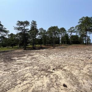 Photo #2 of Ruby, Hartsville, SC