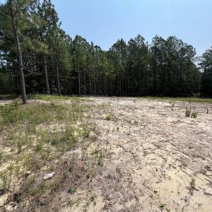 Photo #1 of Ruby, Hartsville, SC