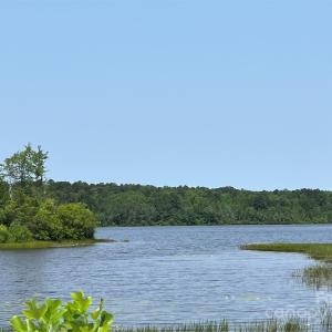 Photo #21 of Ruby, Hartsville, SC