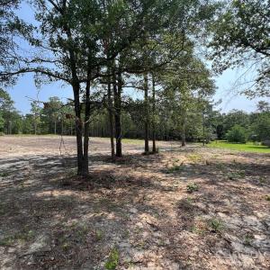 Photo #15 of Ruby, Hartsville, SC