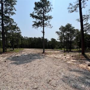 Photo #11 of Ruby, Hartsville, SC