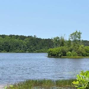 Photo #22 of Ruby, Hartsville, SC