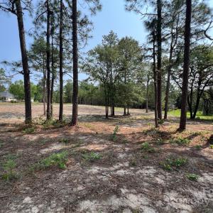 Photo #14 of Ruby, Hartsville, SC