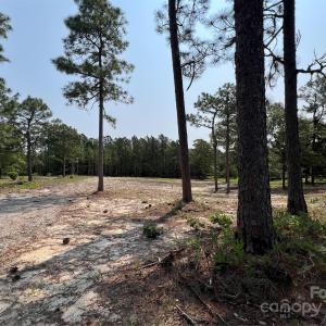 Photo #17 of Ruby, Hartsville, SC