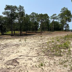 Photo #4 of Ruby, Hartsville, SC