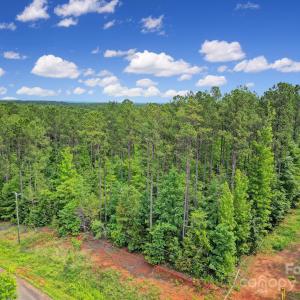 Photo #15 of Lot 10 Goings, Chester, SC