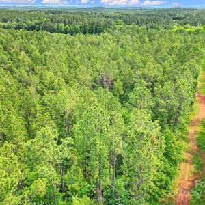 Photo #10 of Lot 10 Goings, Chester, SC