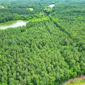 Photo #6 of Lot 10 Goings, Chester, SC