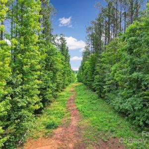 Photo #8 of Lot 10 Goings, Chester, SC