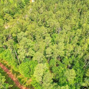 Photo #12 of Lot 10 Goings, Chester, SC