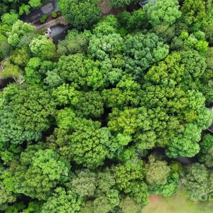 Photo #2 of 16086 Heron Run, Fort Mill, SC