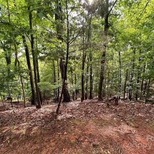 Photo #4 of 16086 Heron Run, Fort Mill, SC