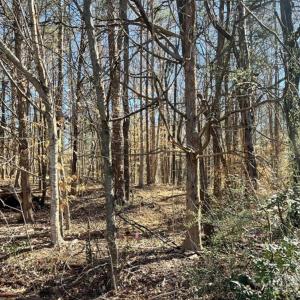 Photo #3 of 01 Lurecliff, Fort Mill, SC