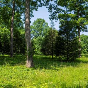 Photo #31 of lot 33 Valley Farm, Waxhaw, NC