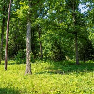 Photo #32 of lot 33 Valley Farm, Waxhaw, NC