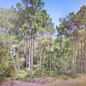 Photo #1 of TBD Flat Creek, Lancaster, SC