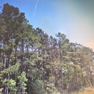 Photo #2 of TBD Flat Creek, Lancaster, SC
