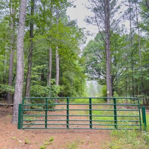 Photo #8 of Chip, Mount Gilead, NC