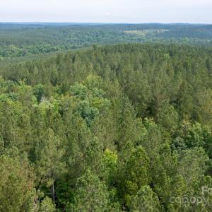 Photo #27 of Chip, Mount Gilead, NC