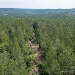 Photo #28 of Chip, Mount Gilead, NC