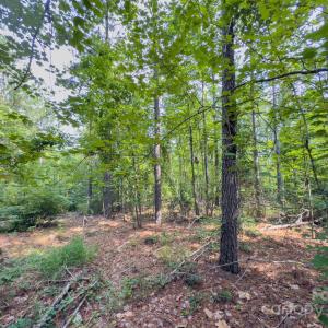 Photo #25 of Chip, Mount Gilead, NC