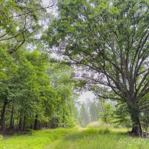 Photo #9 of Chip, Mount Gilead, NC