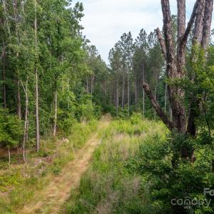 Photo #10 of Chip, Mount Gilead, NC