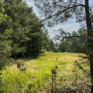 Photo #35 of Chip, Mount Gilead, NC