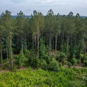 Photo #20 of Chip, Mount Gilead, NC