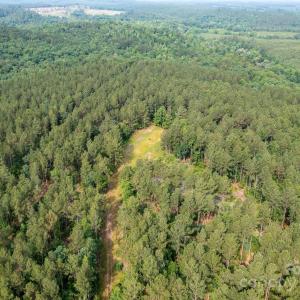Photo #38 of Chip, Mount Gilead, NC
