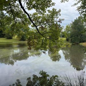 Photo #4 of 357 Pendergrass, York, SC