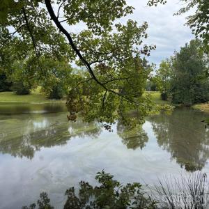 Photo #3 of 357 Pendergrass, York, SC