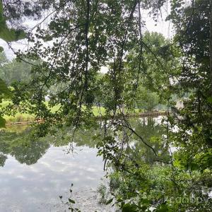Photo #6 of 15194 Cove Point, Norwood, NC