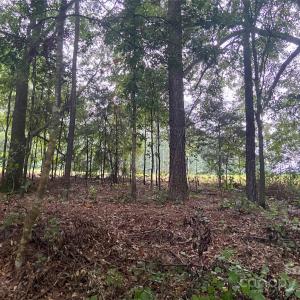 Photo #4 of 15194 Cove Point, Norwood, NC
