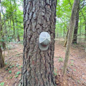 Photo #14 of Powell, Lancaster, SC