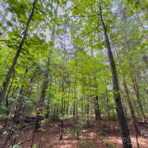 Photo #12 of Powell, Lancaster, SC