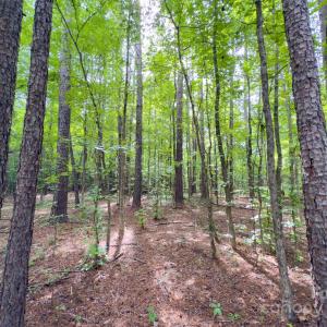 Photo #13 of Powell, Lancaster, SC