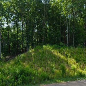 Photo #4 of Honey Tree, Kannapolis, NC