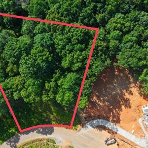 Photo #1 of Honey Tree, Kannapolis, NC