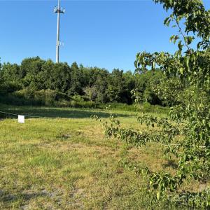 Photo #2 of 2842 Gray Fox, Indian Trail, NC