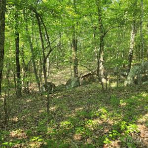 Photo #8 of Hoke, Heath Springs, SC