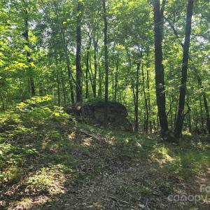 Photo #2 of Hoke, Heath Springs, SC